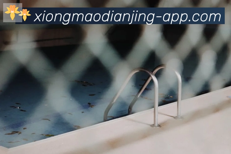 App 展示图