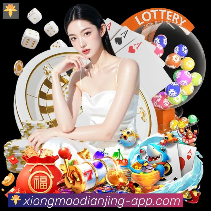 App界面